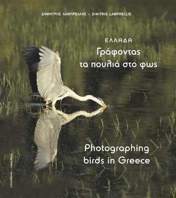 Ελλάδα. Γράφοντας τα πουλιά στο φως